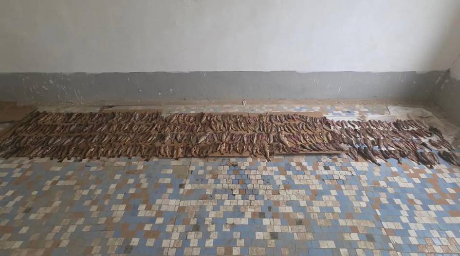 Qashqadaryoda noqonuniy baliq ovlash oqibatida tabiatga 12,7 mlrd so‘m zarar yetkazildi